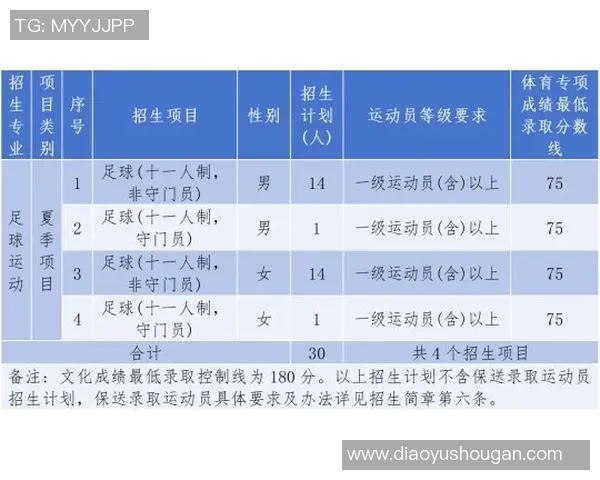 足球五号球的尺寸与标准介绍以及适用年龄段分析